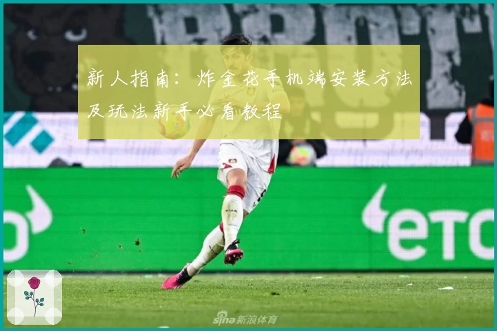 新人指南：炸金花手机端安装方法及玩法新手必看教程