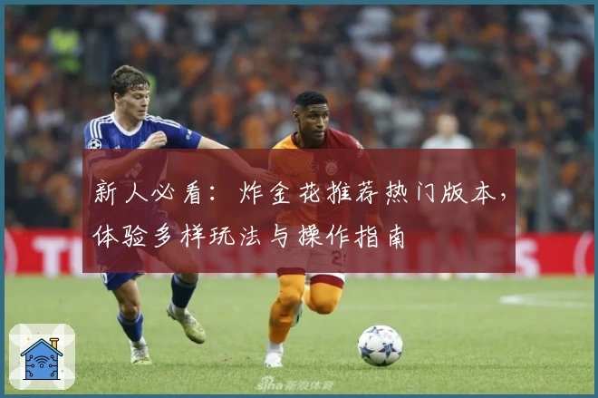 新人必看：炸金花推荐热门版本，体验多样玩法与操作指南