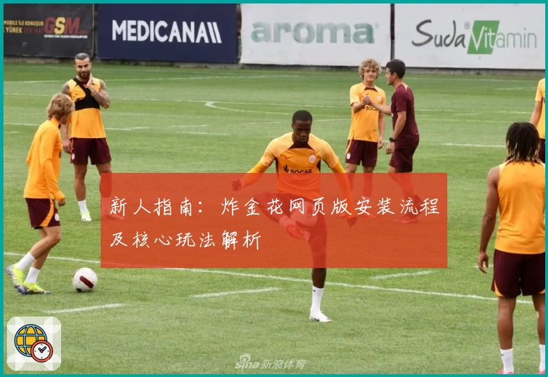 新人指南：炸金花网页版安装流程及核心玩法解析