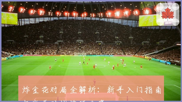 炸金花对局全解析：新手入门指南与高手对战技巧分享
