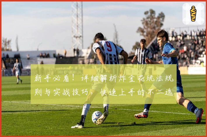 新手必看！详细解析炸金花玩法规则与实战技巧，快速上手的不二选择
